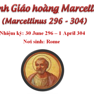 Triều đại 29: Thánh Giáo hoàng Marcellinô